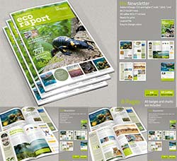 indesign模板－时事周刊(通用型/8页)：Eco Newsletter